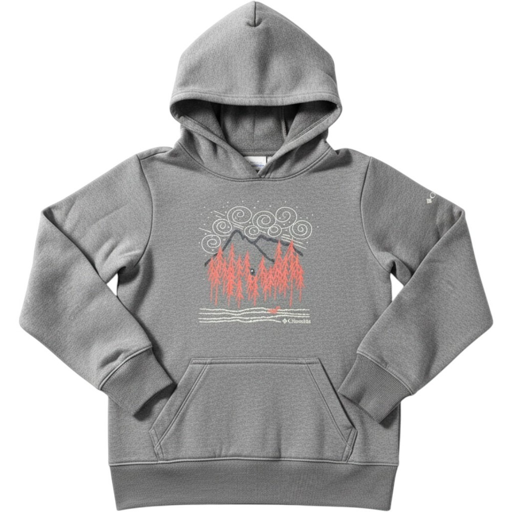 Columbia‎ Kids Gray Mountain Graphic Pullover Hoodie Sweatshirt Size M 10/12